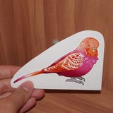 Lesbian pride budgie - AdoraBirdArt