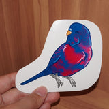 Bisexual pride budgie - AdoraBirdArt
