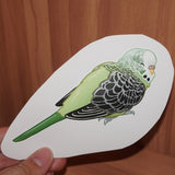 Aromantic pride budgie - AdoraBirdArt
