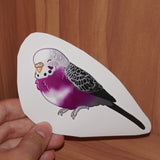 Asexual pride budgie - AdoraBirdArt