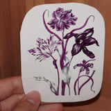 Asexual pride flowers - Vernen Ink