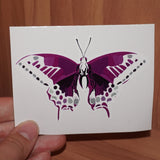 Asexual pride butterfly - Vernen Ink