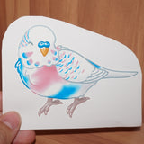 Trans pride budgie - AdoraBirdArt