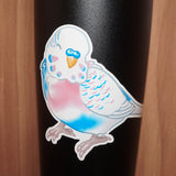 Trans pride budgie - AdoraBirdArt
