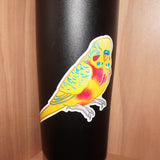 Pansexual pride budgie - AdoraBirdArt