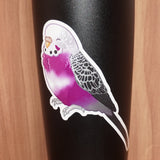 Asexual pride budgie - AdoraBirdArt