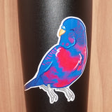 Bisexual pride budgie - AdoraBirdArt