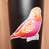 Lesbian pride budgie - AdoraBirdArt