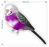 Asexual pride budgie - AdoraBirdArt