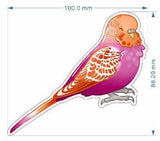 Lesbian pride budgie - AdoraBirdArt