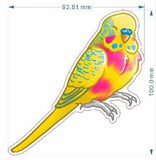 Pansexual pride budgie - AdoraBirdArt