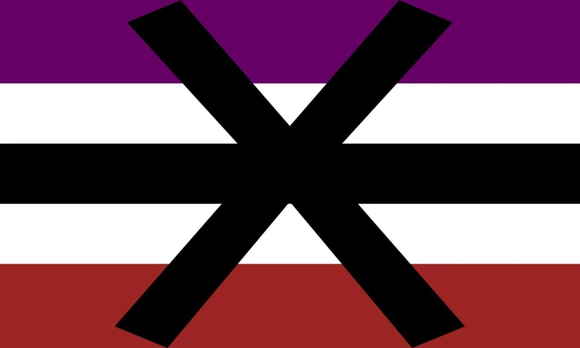 Apothisexual pride flag 3' X 5'