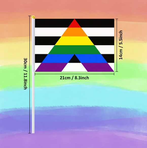 Ally handheld pride flag