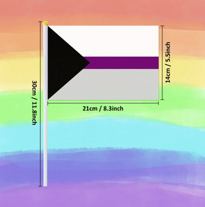 Demisexual handheld pride flag