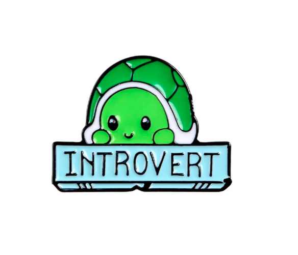 Introvert turtle pin – PridePoint