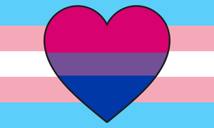 Pre-Order: Bisexual Transgender pride flag 3' X 5'