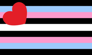 Trans Leather pride flag 3' X 5'