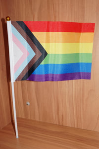 Progress pride handheld flag small