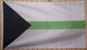 Demiromantic pride flag 3' X 5'