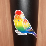 Rainbow pride budgie - AdoraBirdArt