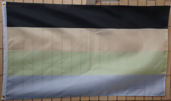 Cassgender pride flag 3' X 5'