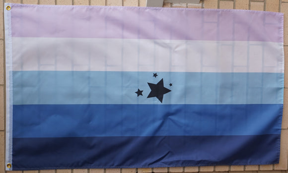 Celestarian pride flag 3' X 5'