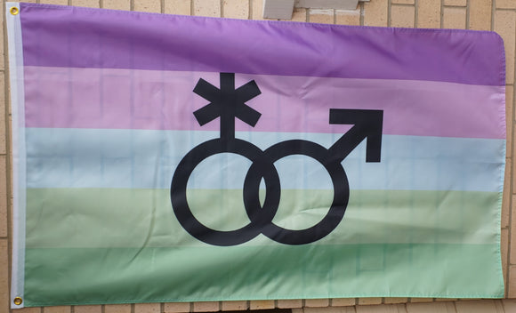 Toric with symbols pride flag 3' X 5'