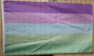 Toric pride flag 3' X 5'