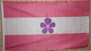 Sapphic pride flag 3' X 5'